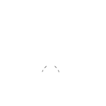 FLYING MONKEY